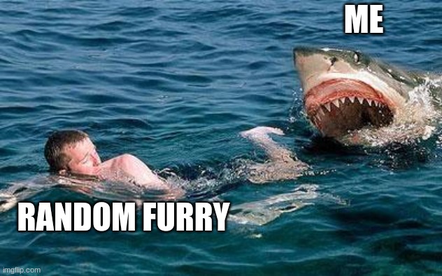 dear furries, stay out of my ocean there is enough garbage as is | ME; RANDOM FURRY | image tagged in shark attack | made w/ Imgflip meme maker