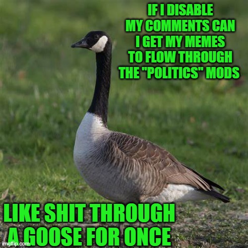 just saying they seem to get back to back approval while mine wait around 6-8 hours | IF I DISABLE MY COMMENTS CAN I GET MY MEMES TO FLOW THROUGH THE "POLITICS" MODS; LIKE SHIT THROUGH A GOOSE FOR ONCE | image tagged in mods | made w/ Imgflip meme maker