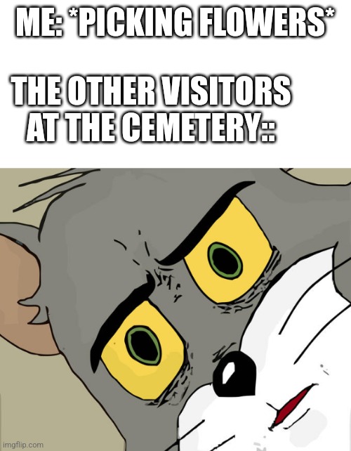 ME: *PICKING FLOWERS*; THE OTHER VISITORS AT THE CEMETERY:: | image tagged in unsettled tom,tom and jerry,funny memes,memes,psychotic | made w/ Imgflip meme maker
