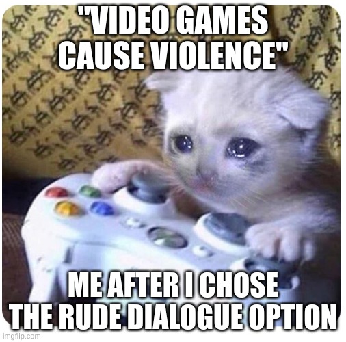 Sad cat Xbox | "VIDEO GAMES CAUSE VIOLENCE" ME AFTER I CHOSE THE RUDE DIALOGUE OPTION | image tagged in sad cat xbox | made w/ Imgflip meme maker