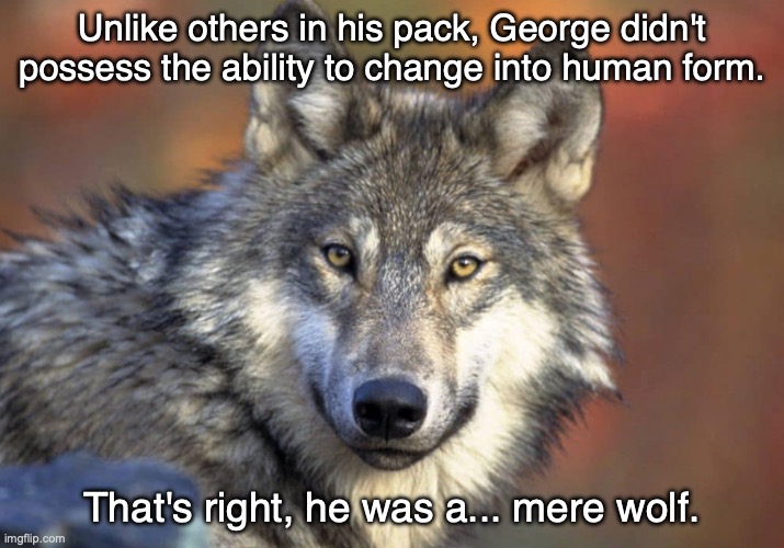 George | Unlike others in his pack, George didn't possess the ability to change into human form. That's right, he was a... mere wolf. | image tagged in werewolf | made w/ Imgflip meme maker