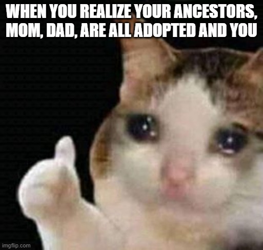 No way | WHEN YOU REALIZE YOUR ANCESTORS, MOM, DAD, ARE ALL ADOPTED AND YOU | image tagged in sad thumbs up cat,memes,funny,funny memes | made w/ Imgflip meme maker