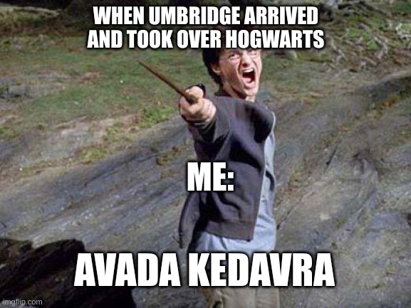 Everyone Hates Umbridge | WHEN UMBRIDGE ARRIVED AND TOOK OVER HOGWARTS; ME:; AVADA KEDAVRA | image tagged in harry potter yelling | made w/ Imgflip meme maker