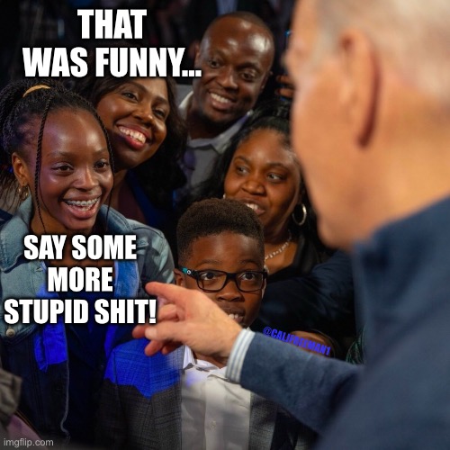 THAT WAS FUNNY…; SAY SOME MORE STUPID SHIT! @CALJFREEMAN1 | image tagged in joe biden,you stupid shit,donald trump,maga,republicans,black people | made w/ Imgflip meme maker