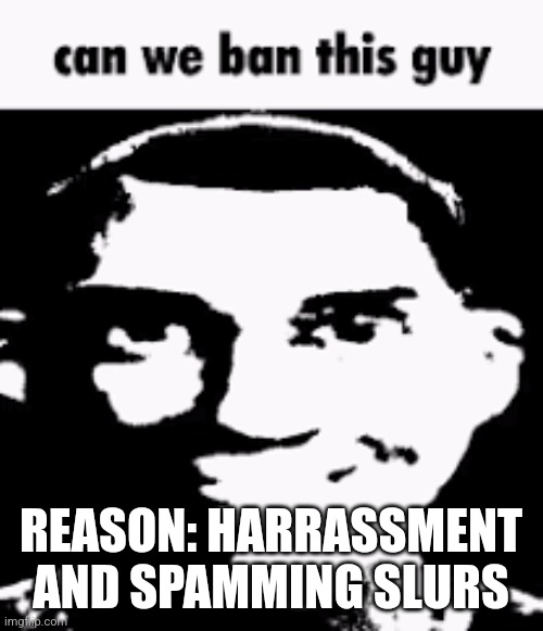 Can we ban this guy | REASON: HARRASSMENT AND SPAMMING SLURS | image tagged in can we ban this guy | made w/ Imgflip meme maker