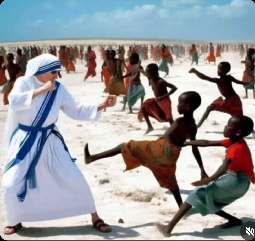 Madre theresa fighting poverty Blank Meme Template