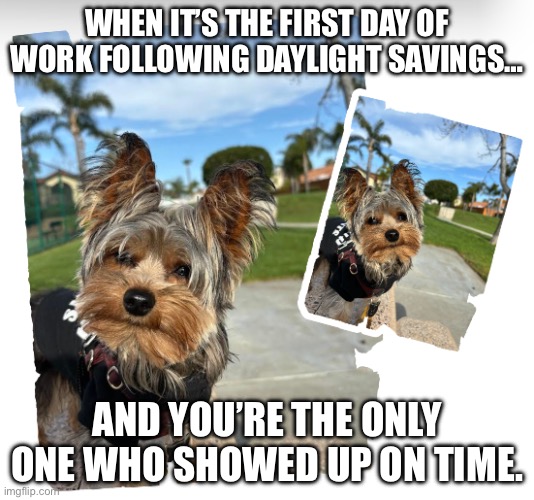 WHEN IT’S THE FIRST DAY OF WORK FOLLOWING DAYLIGHT SAVINGS…; AND YOU’RE THE ONLY ONE WHO SHOWED UP ON TIME. | made w/ Imgflip meme maker