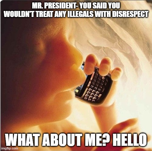 Baby in womb on cell phone - fetus blackberry | MR. PRESIDENT- YOU SAID YOU WOULDN'T TREAT ANY ILLEGALS WITH DISRESPECT; WHAT ABOUT ME? HELLO | image tagged in baby in womb on cell phone - fetus blackberry | made w/ Imgflip meme maker