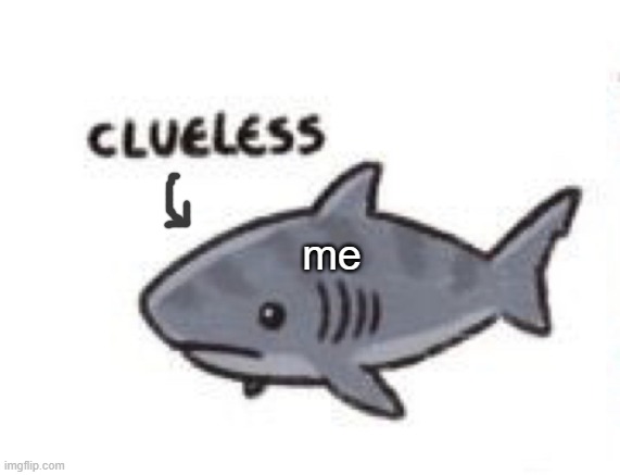 Clueless Shark | me | image tagged in clueless shark | made w/ Imgflip meme maker