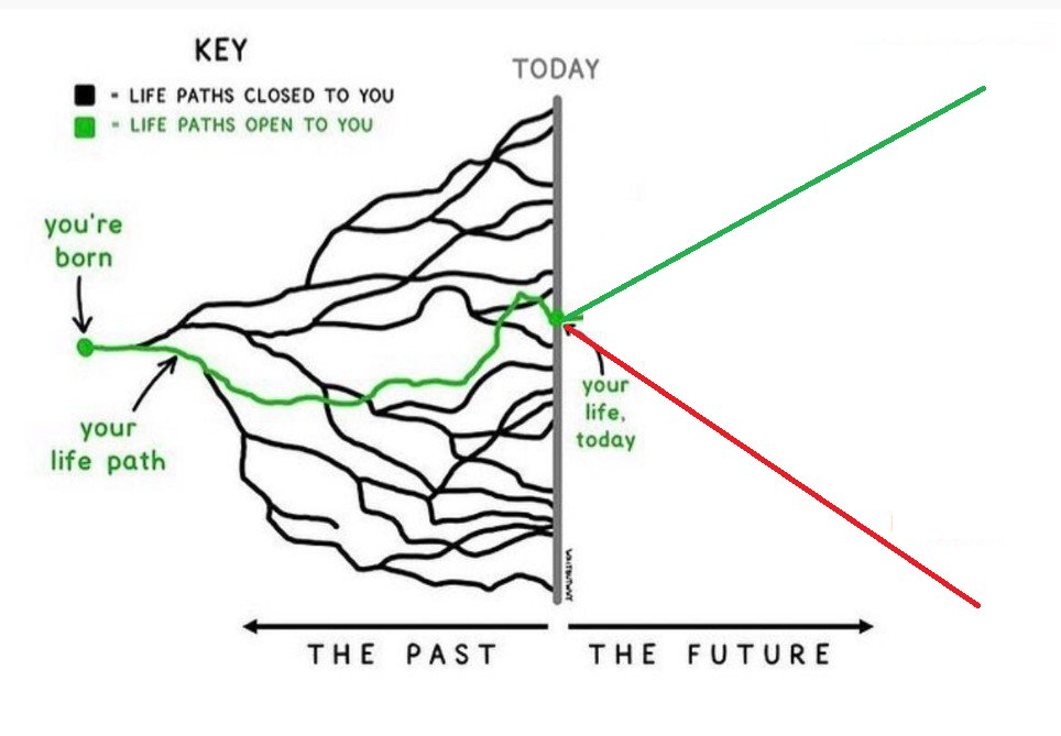 Life Path Open to You Blank Meme Template