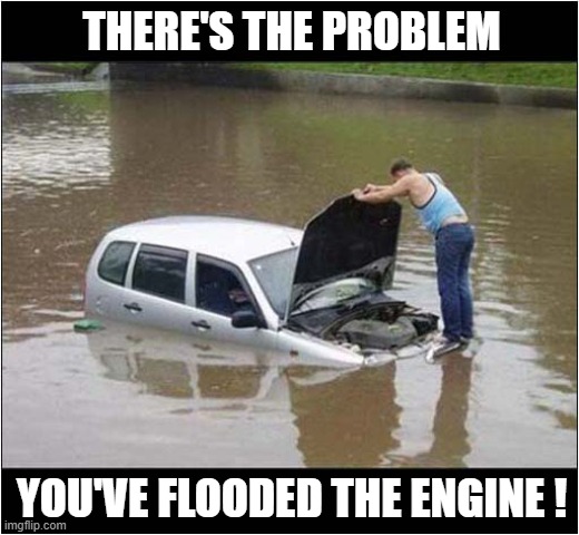 A Genius Mechanic At Work ! | THERE'S THE PROBLEM; YOU'VE FLOODED THE ENGINE ! | image tagged in mechanic,cars,flooded,play on words | made w/ Imgflip meme maker