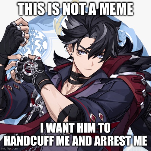Wriothesley is so… | THIS IS NOT A MEME; I WANT HIM TO HANDCUFF ME AND ARREST ME | image tagged in genshin impact,genshin,so true,memes,so true memes,not a meme | made w/ Imgflip meme maker