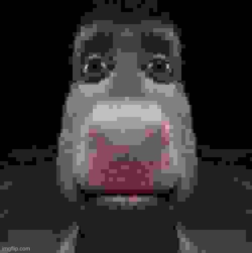 Donkey staring | image tagged in donkey staring | made w/ Imgflip meme maker