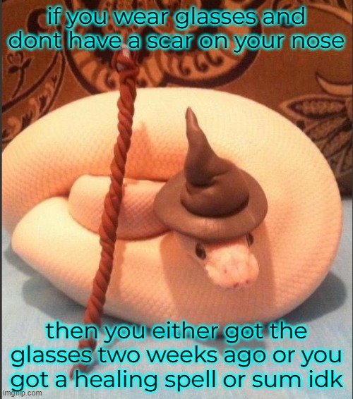 yes i wear glasses and yes i have a scar on my nose from the glasses | if you wear glasses and dont have a scar on your nose; then you either got the glasses two weeks ago or you got a healing spell or sum idk | made w/ Imgflip meme maker