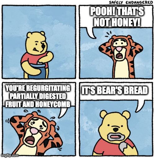 That's not honey! | POOH! THAT'S NOT HONEY! YOU'RE REGURGITATING PARTIALLY DIGESTED FRUIT AND HONEYCOMB; IT'S BEAR'S BREAD | image tagged in that's not honey | made w/ Imgflip meme maker