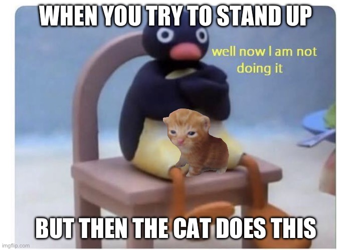 MY DINNERS GETTING COLD ITS BEEN HALF AN HOUR PLEASE I MEED MY LAP BACK | WHEN YOU TRY TO STAND UP; BUT THEN THE CAT DOES THIS | image tagged in well now i am not doing it,cats,funny,memes,cute,stop reading the tags | made w/ Imgflip meme maker