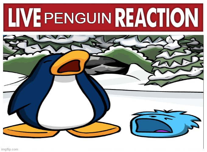 Live reaction | PENGUIN | image tagged in live reaction | made w/ Imgflip meme maker