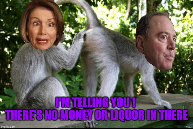 Coupla Munkees | I'M TELLING YOU ! 
THERE'S NO MONEY OR LIQUOR IN THERE | image tagged in nancy pelosi and adam schiff,political meme,politics,funny memes,memes | made w/ Imgflip meme maker