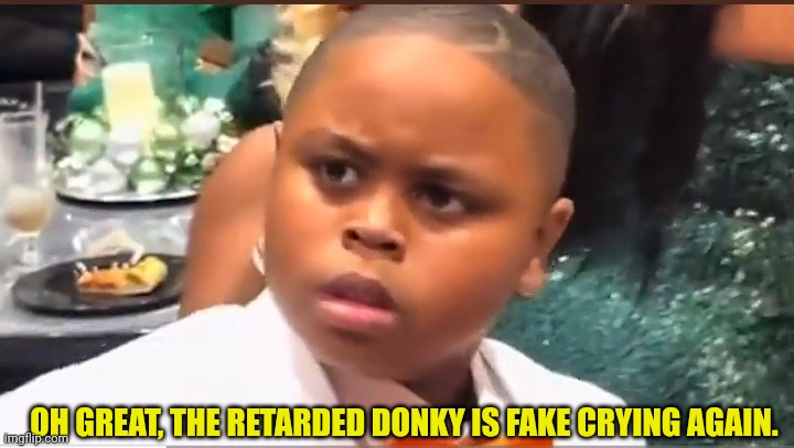 OH GREAT, THE RETARDED DONKY IS FAKE CRYING AGAIN. | made w/ Imgflip meme maker
