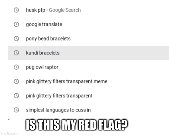 my search history | IS THIS MY RED FLAG? | image tagged in search history,lgbtq | made w/ Imgflip meme maker