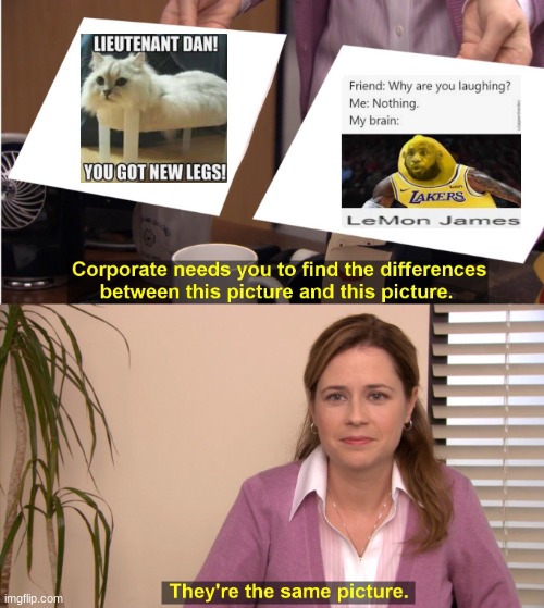 sorry | image tagged in memes,they're the same picture | made w/ Imgflip meme maker