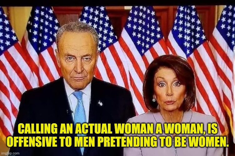 Chuck and Nancy | CALLING AN ACTUAL WOMAN A WOMAN, IS OFFENSIVE TO MEN PRETENDING TO BE WOMEN. | image tagged in chuck and nancy,lunatic,democrats | made w/ Imgflip meme maker