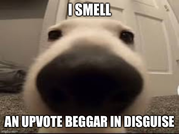I SMELL AN UPVOTE BEGGAR IN DISGUISE | made w/ Imgflip meme maker