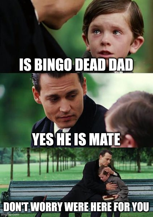 Bluey grief and lost meme | IS BINGO DEAD DAD; YES HE IS MATE; DON'T WORRY WERE HERE FOR YOU | image tagged in memes,finding neverland | made w/ Imgflip meme maker