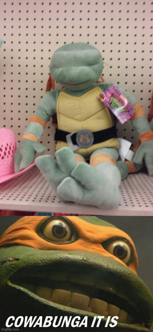 Ninja Turtle fail | image tagged in cowabunga it is,teenage mutant ninja turtles,ninja turtle,you had one job,memes,stuffed toy | made w/ Imgflip meme maker