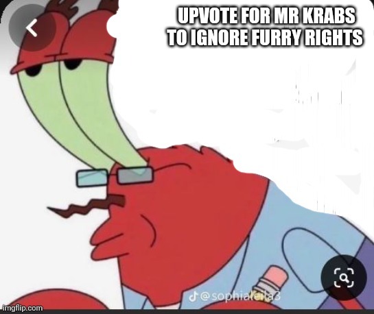 Mr Krabs | UPVOTE FOR MR KRABS TO IGNORE FURRY RIGHTS | image tagged in anti-furry,spongebob | made w/ Imgflip meme maker
