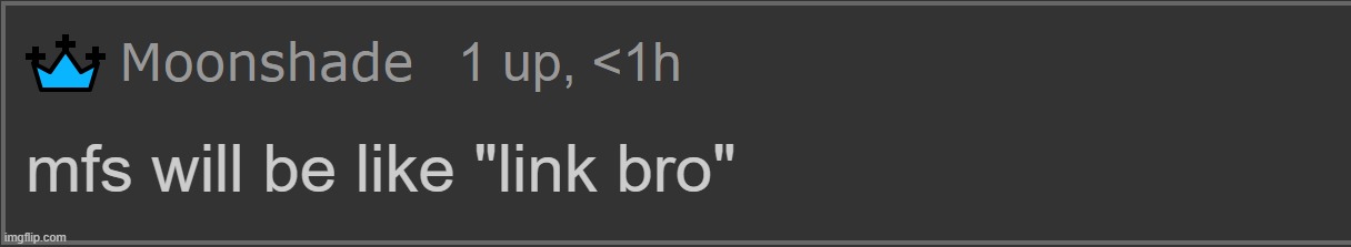 Moonshade "Mfs will be like link bro" | image tagged in moonshade mfs will be like link bro | made w/ Imgflip meme maker