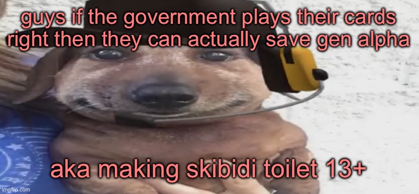 context: kosa bill | guys if the government plays their cards right then they can actually save gen alpha; aka making skibidi toilet 13+ | image tagged in chucklenuts | made w/ Imgflip meme maker