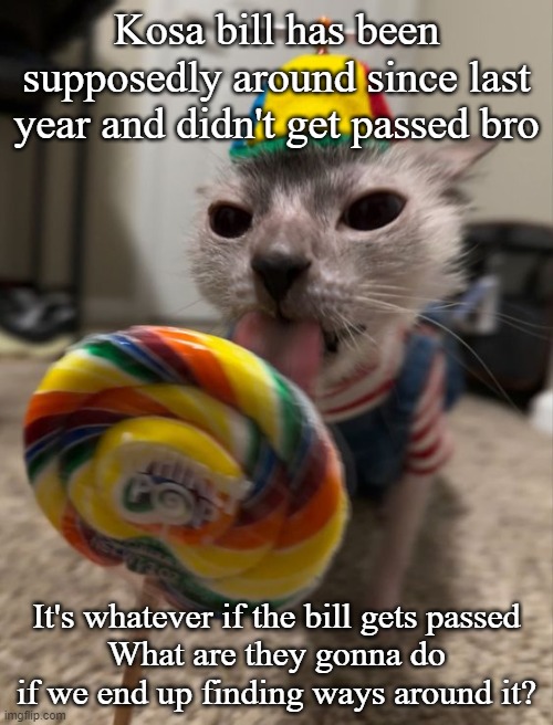 Like bro it's honestly similar to overprotective parents | Kosa bill has been supposedly around since last year and didn't get passed bro; It's whatever if the bill gets passed
What are they gonna do if we end up finding ways around it? | image tagged in silly goober | made w/ Imgflip meme maker