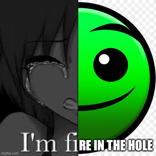 im fine | RE IN THE HOLE | image tagged in im fine | made w/ Imgflip meme maker