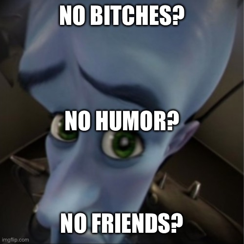 Megamind peeking | NO BITCHES? NO FRIENDS? NO HUMOR? | image tagged in megamind peeking | made w/ Imgflip meme maker