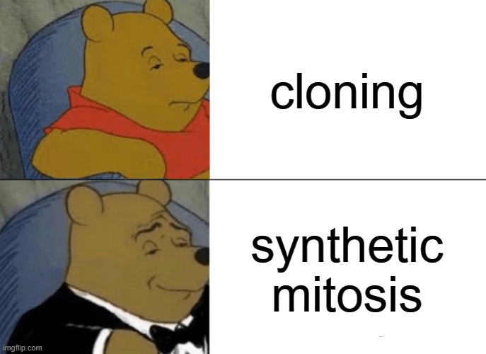 bio | cloning; synthetic mitosis | image tagged in memes,tuxedo winnie the pooh,funny,middle school,biology,mitosis | made w/ Imgflip meme maker