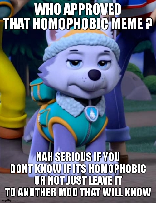 Its easy just read the whole meme | WHO APPROVED THAT HOMOPHOBIC MEME ? NAH SERIOUS IF YOU DONT KNOW IF ITS HOMOPHOBIC OR NOT JUST LEAVE IT TO ANOTHER MOD THAT WILL KNOW | image tagged in bad day everest paw patrol | made w/ Imgflip meme maker