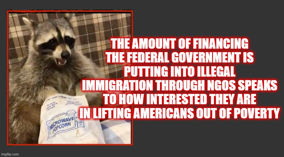 Infiltration AND Invasion | THE AMOUNT OF FINANCING THE FEDERAL GOVERNMENT IS PUTTING INTO ILLEGAL IMMIGRATION THROUGH NGOS SPEAKS TO HOW INTERESTED THEY ARE IN LIFTING AMERICANS OUT OF POVERTY | image tagged in stop the invasion,government corruption,maga,america first,dark to light,jadscomms | made w/ Imgflip meme maker