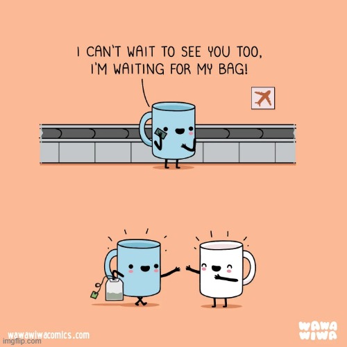image tagged in mug,airport,luggage,bag,tea bag | made w/ Imgflip meme maker
