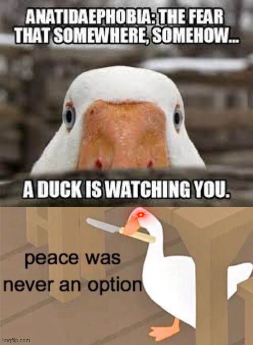 yes this a real phobia | image tagged in untitled goose peace was never an option,phobia,duck | made w/ Imgflip meme maker