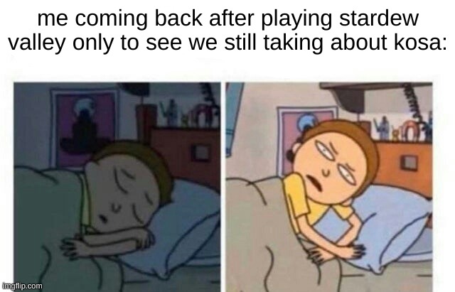 what the fuck bro | me coming back after playing stardew valley only to see we still taking about kosa: | image tagged in morty waking up | made w/ Imgflip meme maker