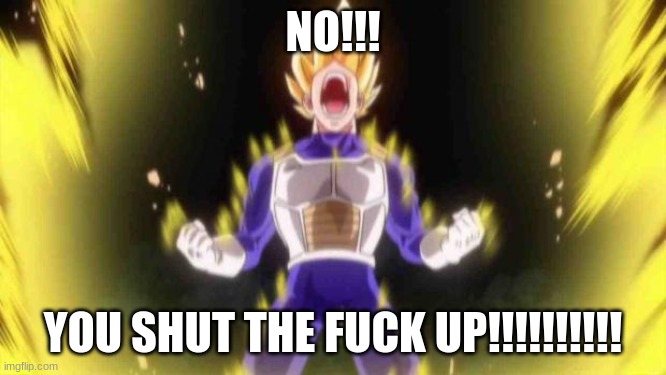 vegeta | NO!!! YOU SHUT THE FUCK UP!!!!!!!!!! | image tagged in vegeta | made w/ Imgflip meme maker