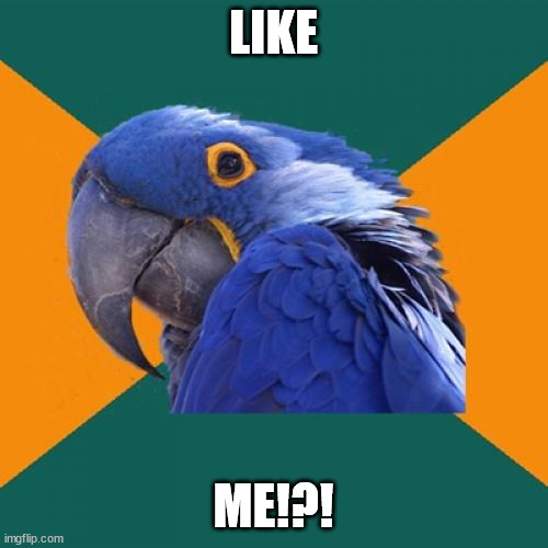 Paranoid Parrot Meme | LIKE ME!?! | image tagged in memes,paranoid parrot | made w/ Imgflip meme maker