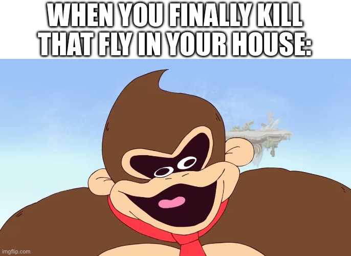 When you finally kill that fly in your house | WHEN YOU FINALLY KILL THAT FLY IN YOUR HOUSE: | image tagged in donkey kong | made w/ Imgflip meme maker