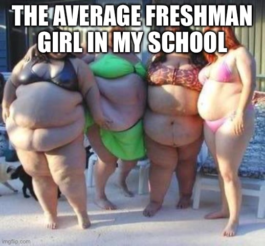 WHY | THE AVERAGE FRESHMAN GIRL IN MY SCHOOL | image tagged in fat chicks | made w/ Imgflip meme maker