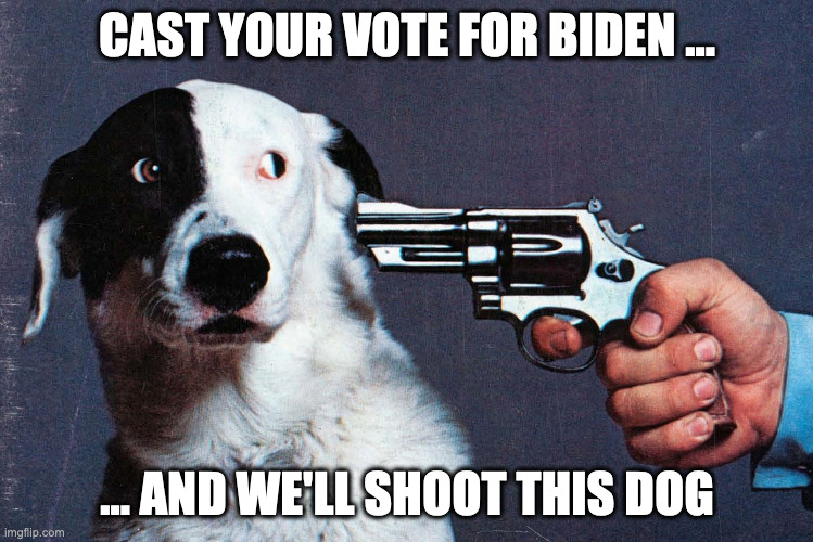 Shoot this dog | CAST YOUR VOTE FOR BIDEN ... ... AND WE'LL SHOOT THIS DOG | image tagged in shoot this dog,vote for biden | made w/ Imgflip meme maker