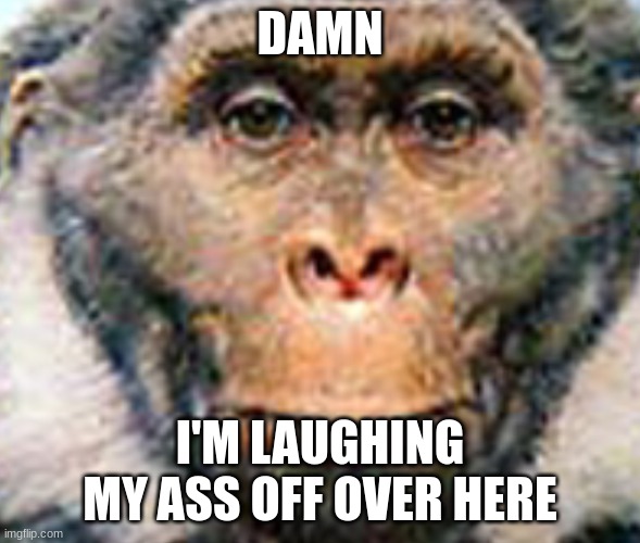“Danm that was so funny I forgot to laugh” Sivapithicus | DAMN I'M LAUGHING MY ASS OFF OVER HERE | image tagged in danm that was so funny i forgot to laugh sivapithicus | made w/ Imgflip meme maker