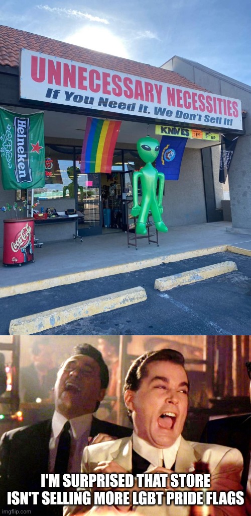 The perfect store to be selling LGBT pride flags | I'M SURPRISED THAT STORE ISN'T SELLING MORE LGBT PRIDE FLAGS | image tagged in memes,good fellas hilarious,lgbtq,unnecessary,gay pride,gay pride flag | made w/ Imgflip meme maker