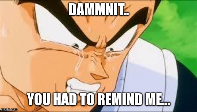 Disappointed Vegeta | DAMMNIT.. YOU HAD TO REMIND ME... | image tagged in disappointed vegeta | made w/ Imgflip meme maker