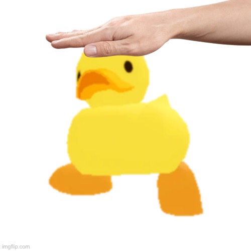 Quack | image tagged in quack | made w/ Imgflip meme maker